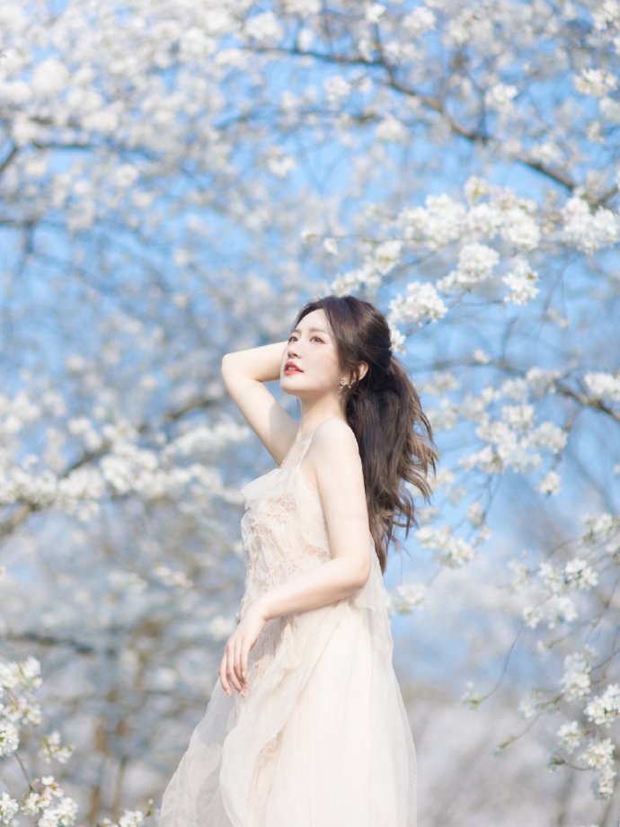 后窗 封面
