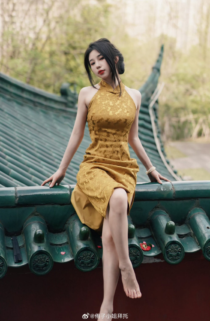 灰质 封面