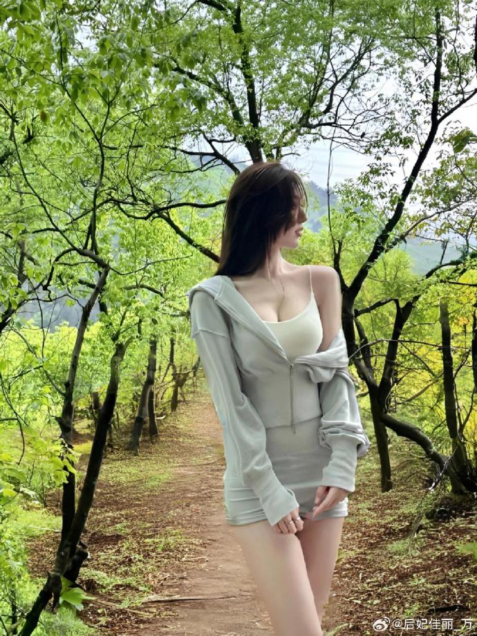 龙猫 封面